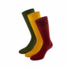 Mehrfarbiges edles Business Socken Bundle mit grünen, safran gelben und bordeaux roten Socken von PATRON SOCKS